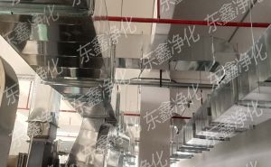 品质有保障 温暖过冬天！百级无尘车间装修成本是多少【东鑫净化】
